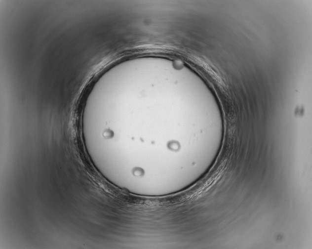 X0000103491357200810031556