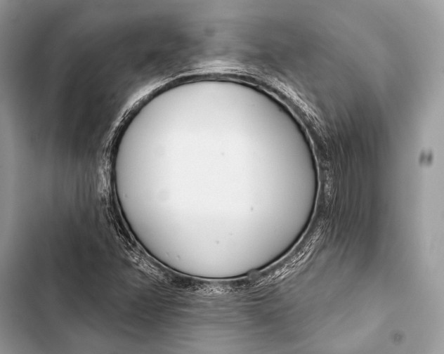 X0000103491358200810031556