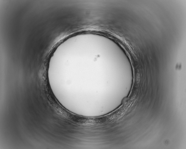 X0000103491359200810031556