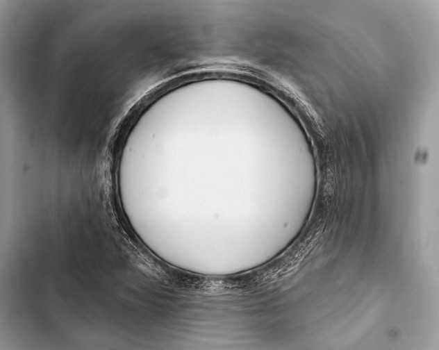 X0000103491360200810031556