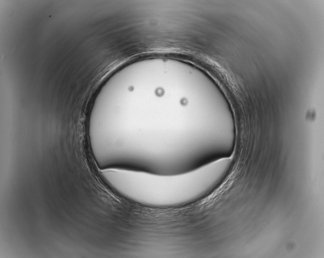 X0000103491361200810031556