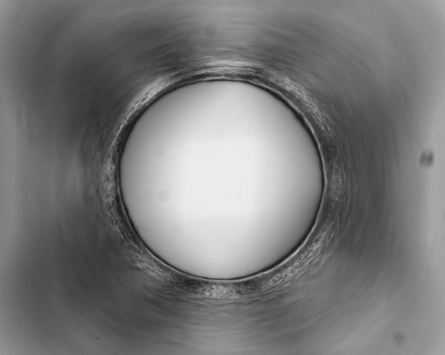 X0000103491362200810031556