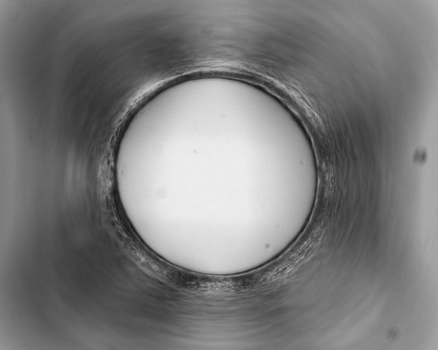 X0000103491363200810031556