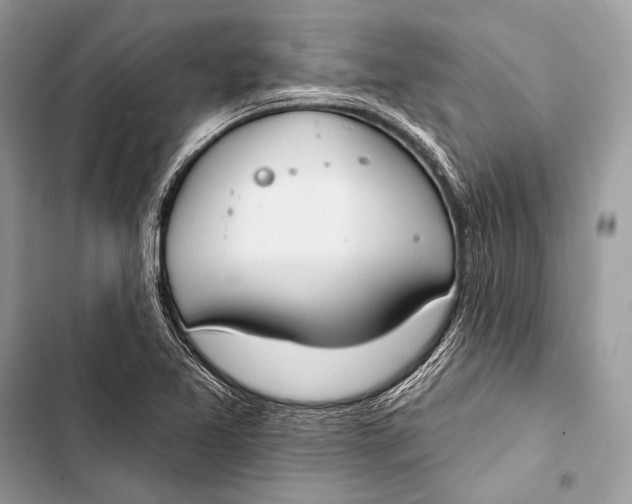 X0000103491365200810031556