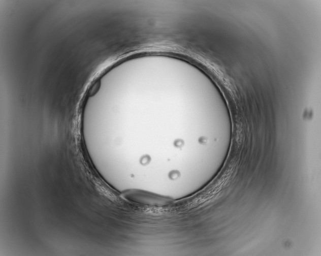 X0000103491366200810031556