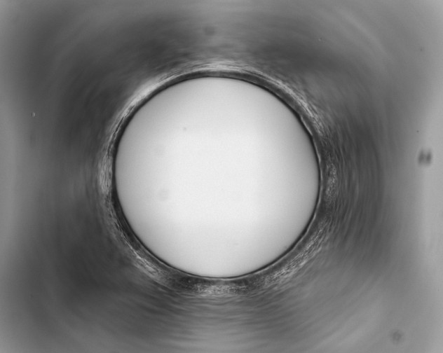 X0000103491367200810031556