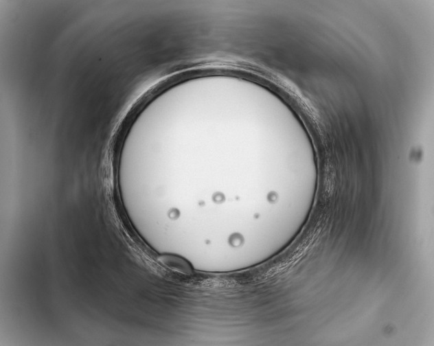 X0000103491368200810031556