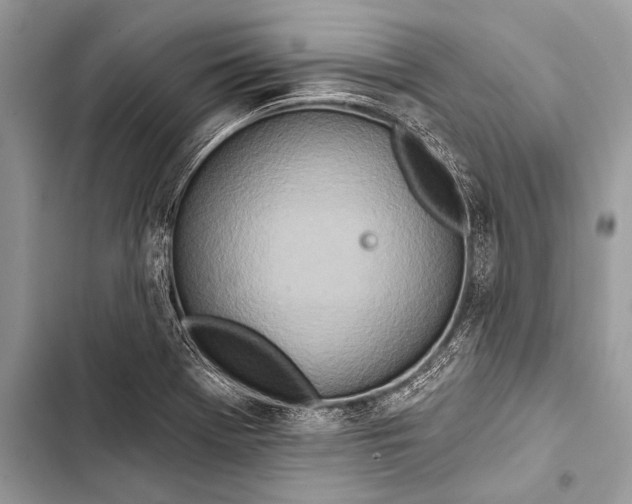 X0000103491369200810031556