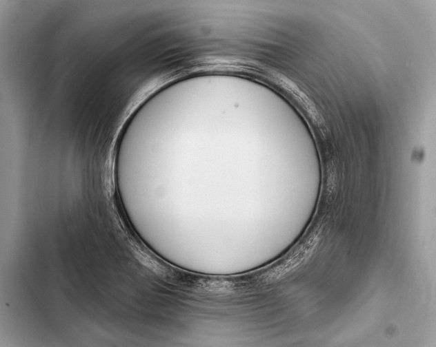 X0000103491370200810031556