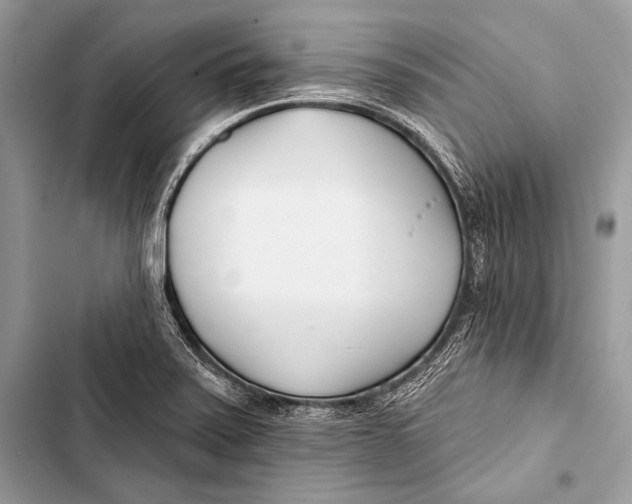 X0000103491371200810031556