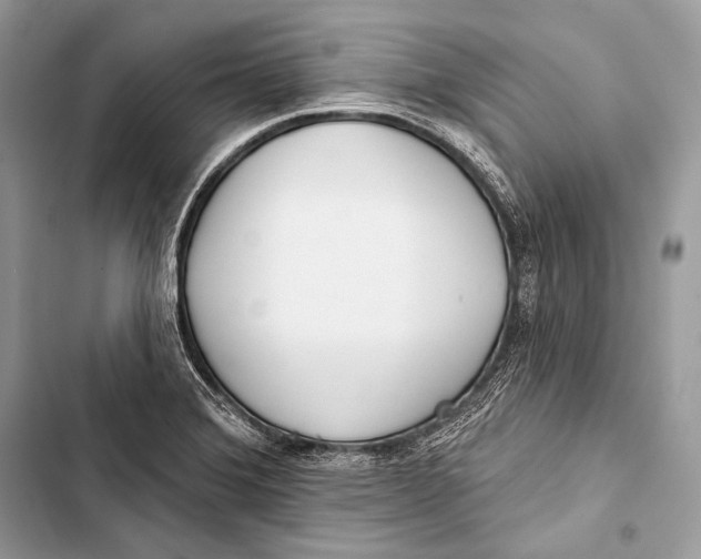 X0000103491372200810031556