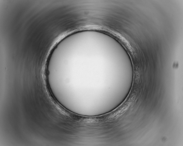 X0000103491373200810031556