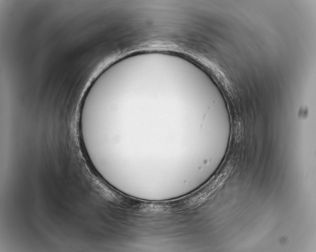 X0000103491374200810031556