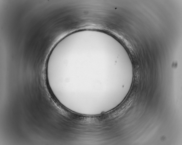 X0000103491375200810031556