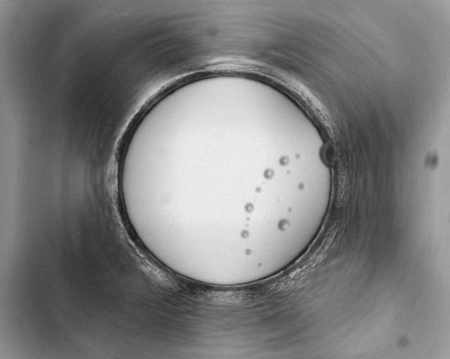 X0000103491376200810031556