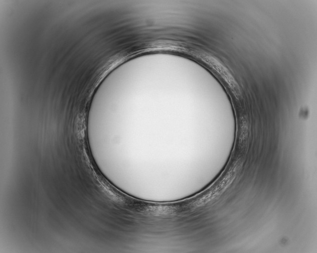 X0000103491377200810031556