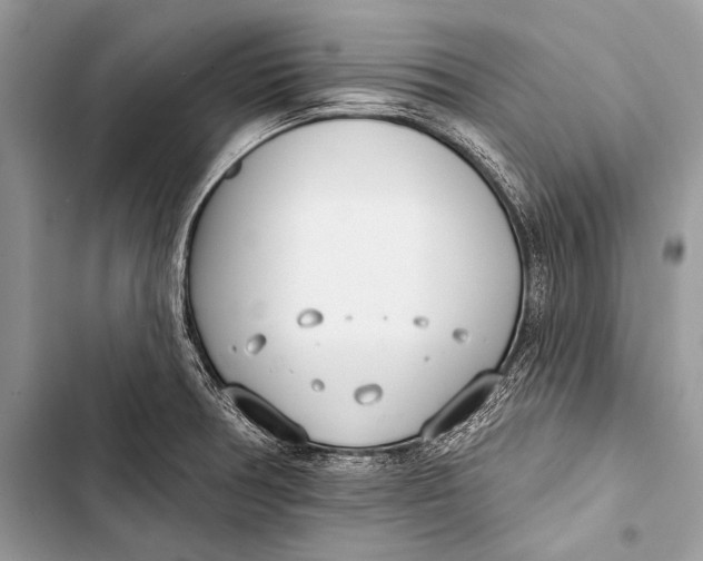 X0000103491378200810031556