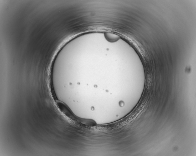 X0000103491379200810031556