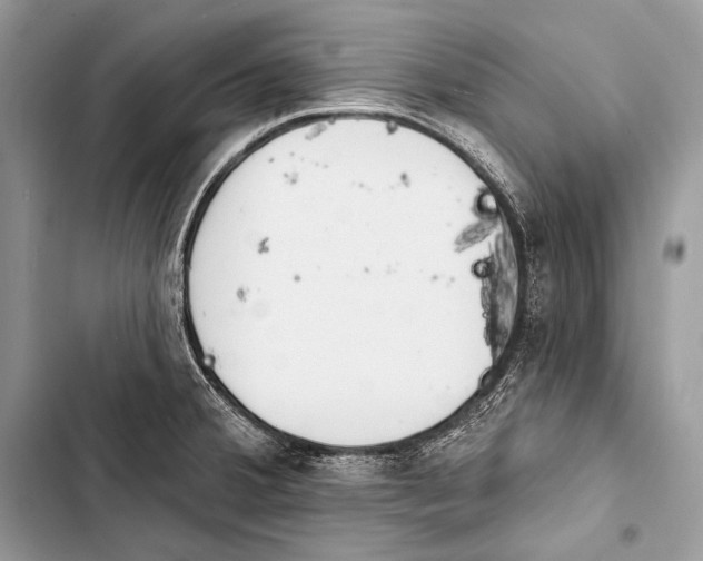 X0000103491380200810031556