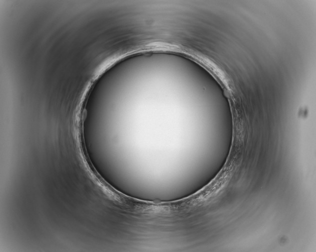 X0000103491381200810031556