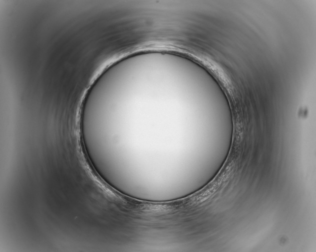 X0000103491382200810031556