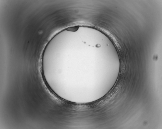 X0000103491383200810031556