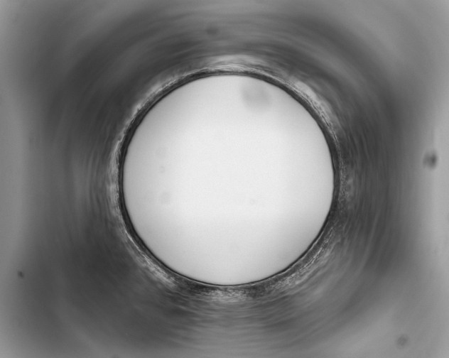 X0000103491384200810031555