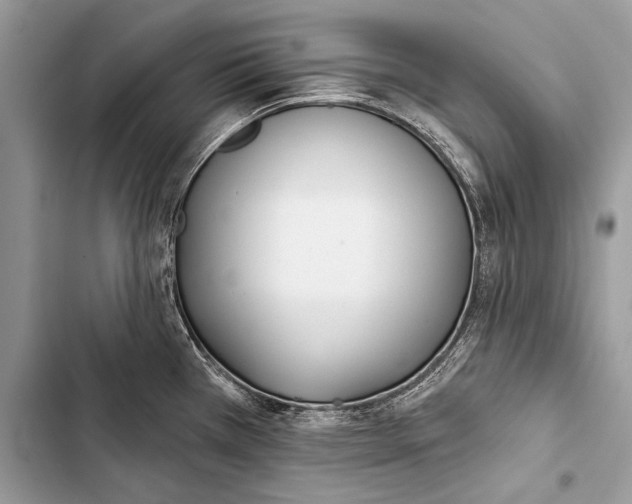 X0000103491385200810031555