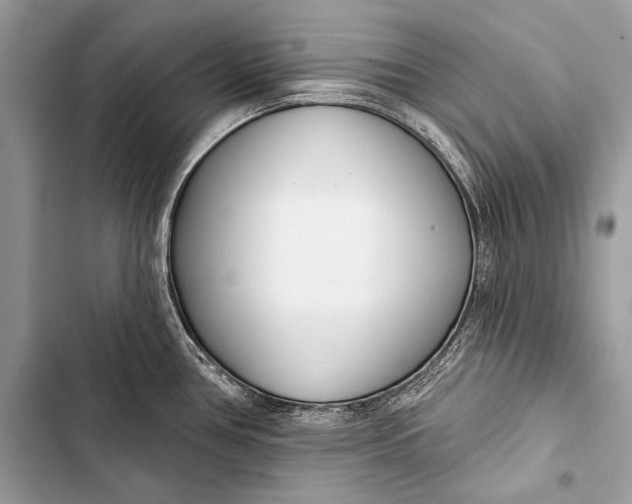 X0000103491386200810031555