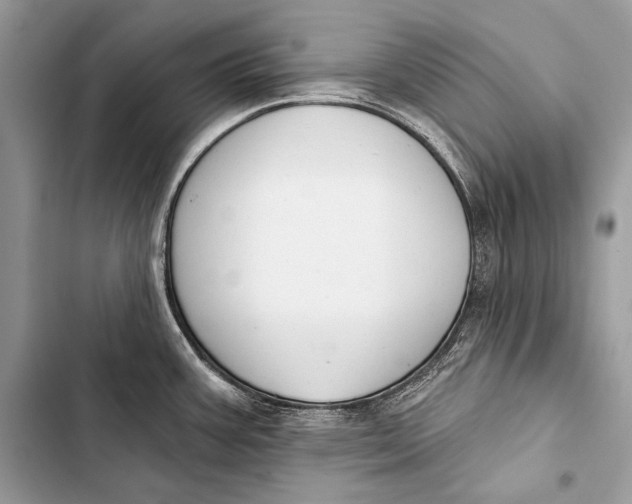 X0000103491387200810031555