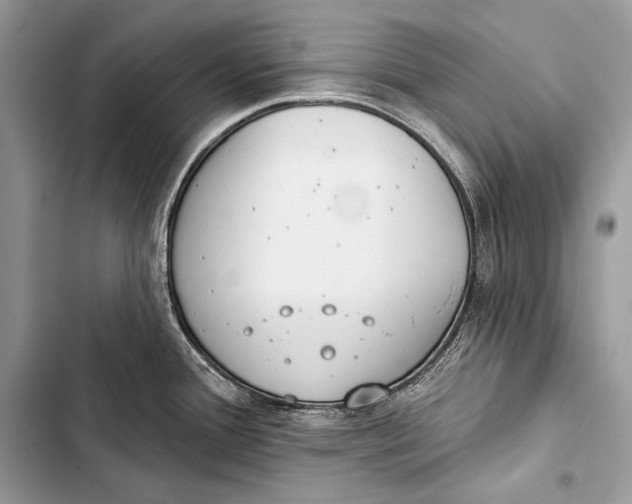 X0000103491388200810031555