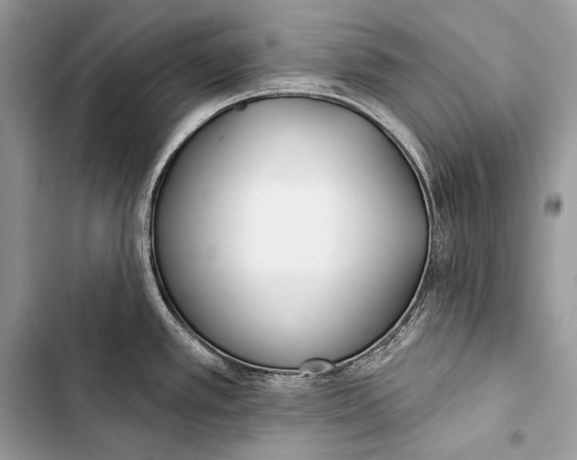 X0000103491389200810031555