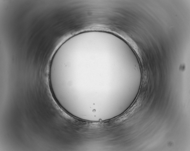 X0000103491390200810031555