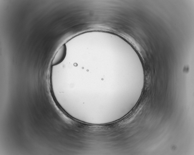 X0000103491391200810031555