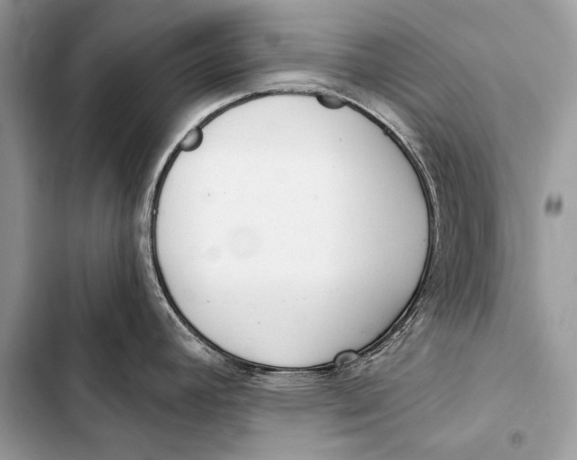 X0000103491392200810031555