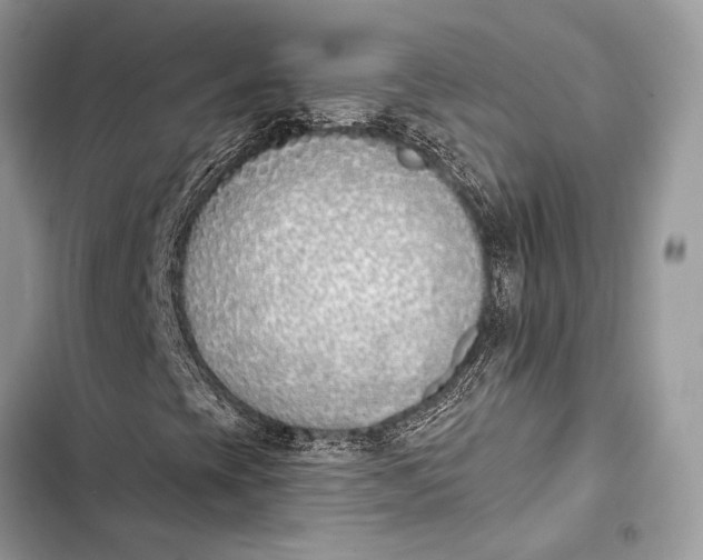 X0000103491393200810031555