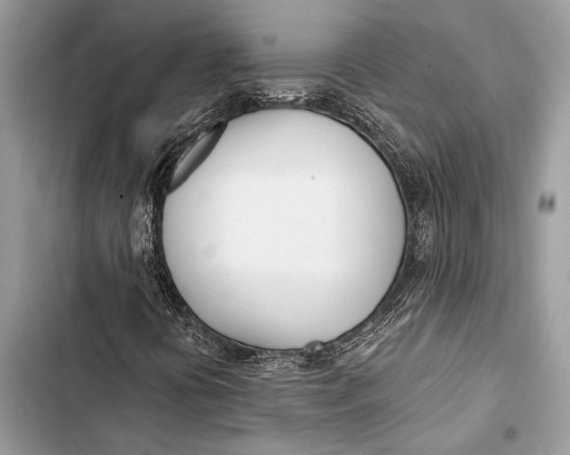 X0000103491394200810031555