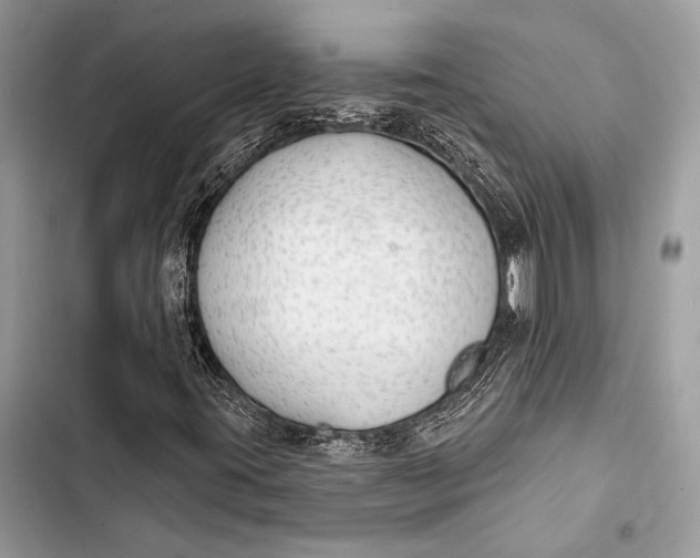 X0000103491395200810031555