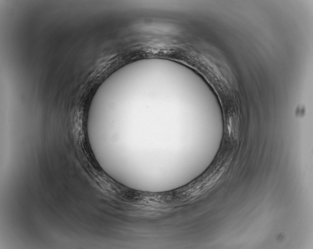 X0000103491396200810031555