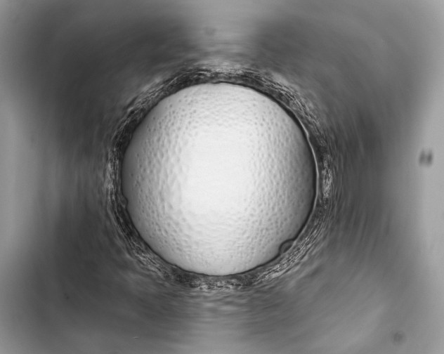 X0000103491397200810031555