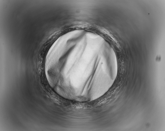 X0000103491399200810031555