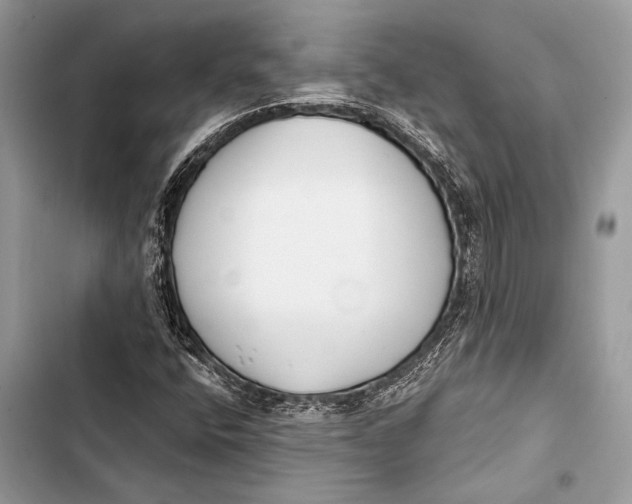 X0000103491400200810031555