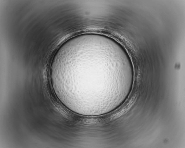 X0000103491401200810031555