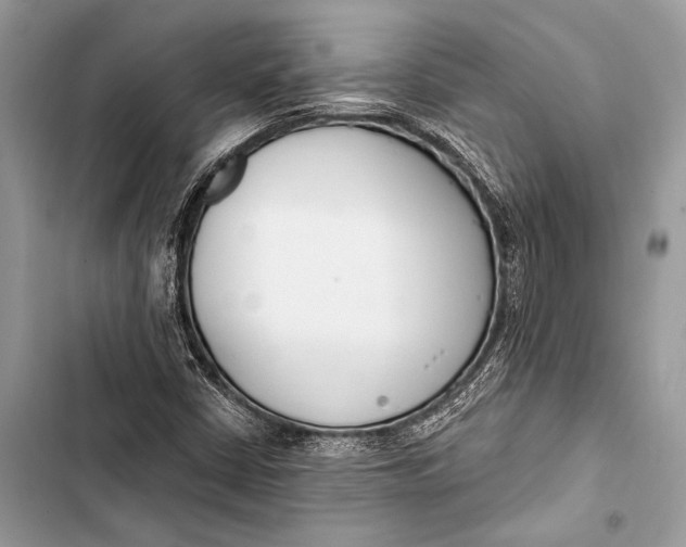 X0000103491402200810031555