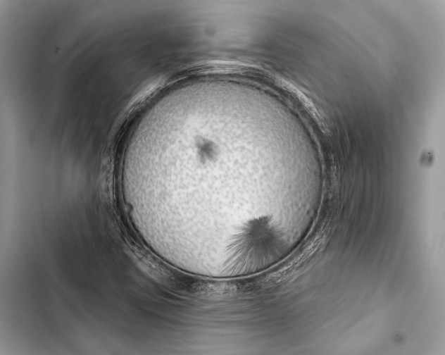 X0000103491403200810031555