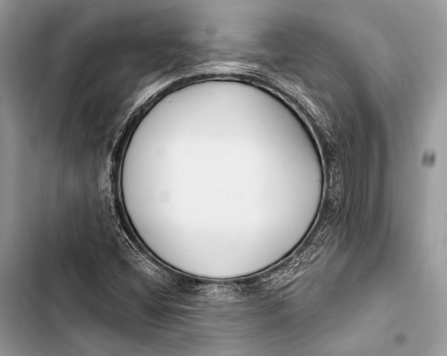 X0000103491404200810031555