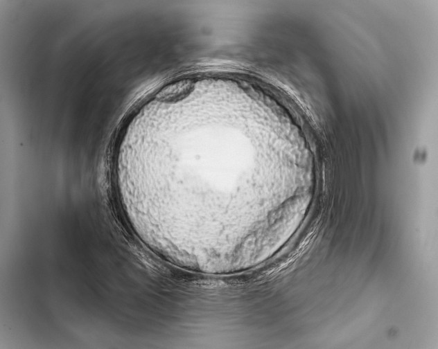 X0000103491405200810031555