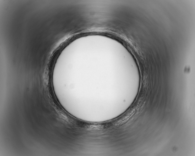 X0000103491406200810031555