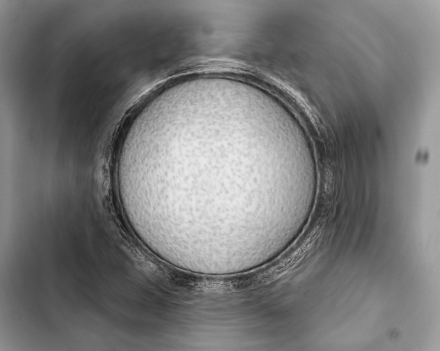 X0000103491407200810031555