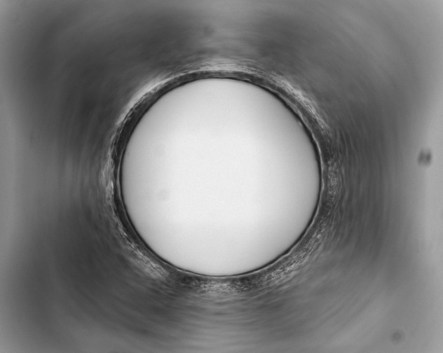 X0000103491408200810031555